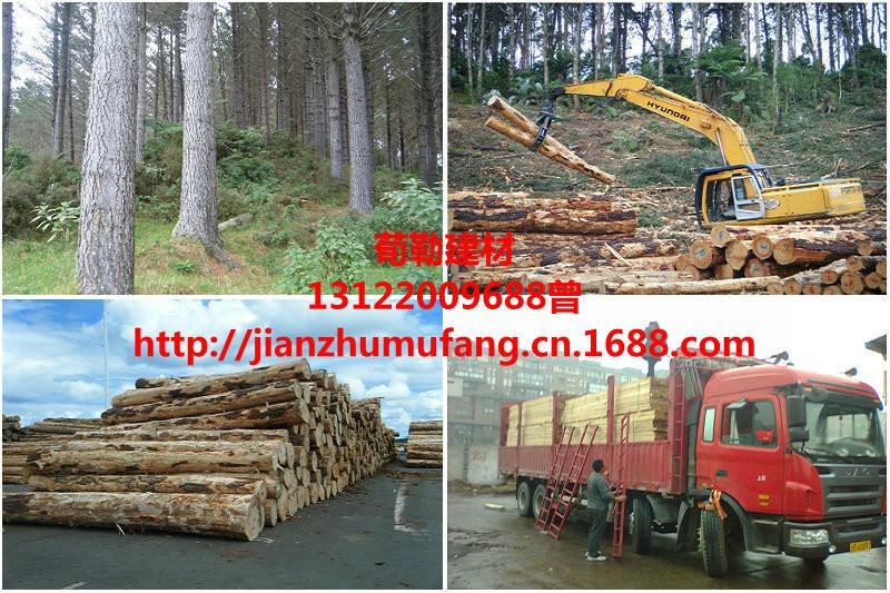 供應(yīng)輻射松規(guī)格料