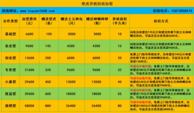 供應(yīng)江西壁虎種苗批發(fā)價格