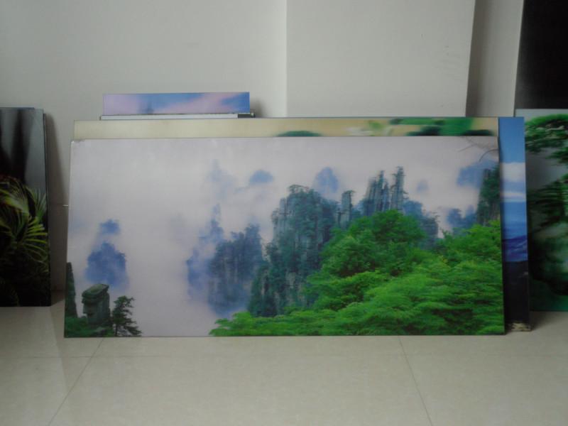 供應(yīng)安徽大型景點宣傳裝飾畫加工制作三維立體風(fēng)景畫技術(shù)培訓(xùn)景區(qū)宣傳畫