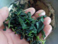 供應(yīng)湘西*絞股藍(lán)，湘西*絞股藍(lán)茶，湘西*絞股藍(lán)茶葉