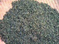 湘西甘味絞股藍(lán)供應(yīng)廠家圖片