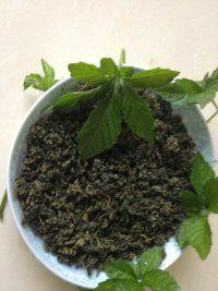 小游絞股藍(lán)生產(chǎn)產(chǎn)地，小游絞股藍(lán)生產(chǎn)產(chǎn)地批發(fā)，小游絞股藍(lán)生產(chǎn)產(chǎn)地直銷