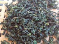 供應湘西甘味絞股藍廠家批發(fā)，湘西甘味絞股藍廠家批發(fā)價格