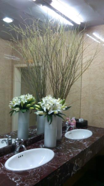 供應(yīng)北京綠植租賃報(bào)價(jià)