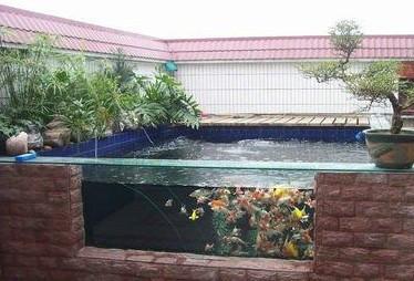 魚(yú)池上門(mén)魚(yú)池清理服務(wù)公司廣州魚(yú)圖片