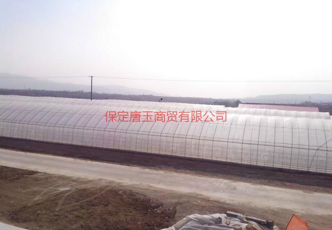 供應(yīng)河北溫室大棚骨架供應(yīng)商，河北溫室大棚骨架廠家，保定溫室大棚搭建