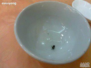 南通食品廠滅鼠蟑螂蚊蠅經(jīng)驗(yàn)-資質(zhì)-單位