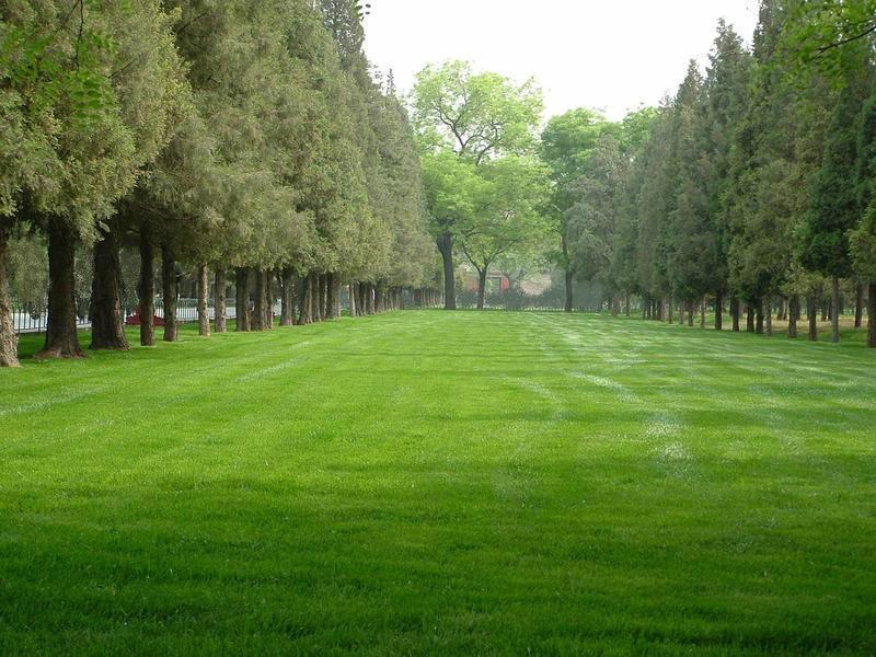 保定果園打藥機(jī)專賣，打藥機(jī)，打藥機(jī)生產(chǎn)廠家，打藥機(jī)廠家直銷