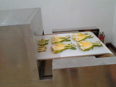 廣州水蓮花微波干燥設(shè)備圖片