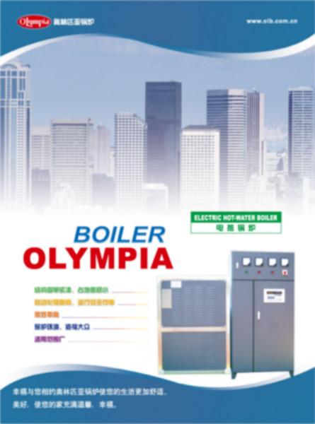 電熱鍋爐圖片/電熱鍋爐樣板圖 (2)