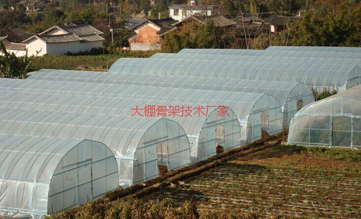 蔬菜大棚圖片/蔬菜大棚樣板圖 (2)