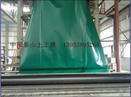 供應用于垃圾填埋場覆的泰安土工膜 泰安土工膜廠家
