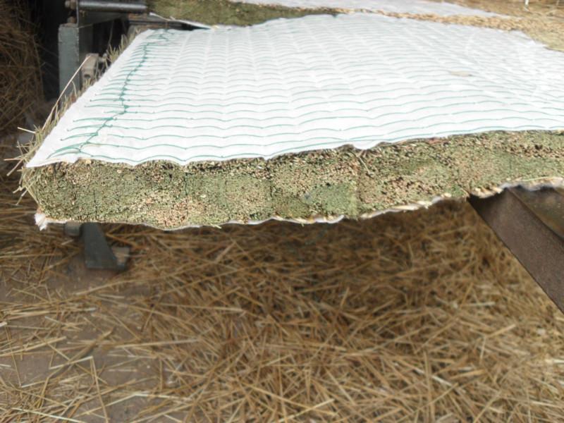 供應(yīng)黑龍江佳木斯烏拉草供應(yīng)商?hào)|北三寶關(guān)東三寶