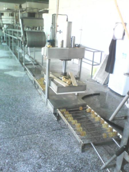 供應(yīng)沈陽大型干豆腐機(jī)生產(chǎn)線