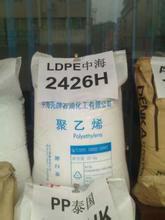 LDPE中海壳牌2420K图片