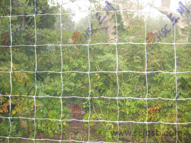 黃驊市供應(yīng)牛欄網(wǎng)機(jī)草原網(wǎng)護(hù)欄網(wǎng)畜籠網(wǎng)養(yǎng)殖網(wǎng)護(hù)坡網(wǎng)-*的牛欄網(wǎng)廠家