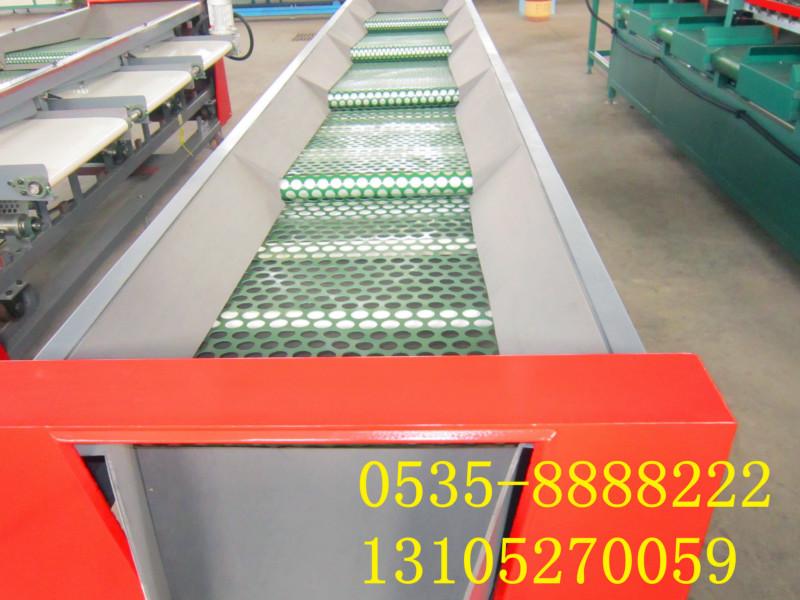 供應(yīng)有機(jī)藍(lán)莓選果機(jī)/*藍(lán)莓分揀設(shè)備/*藍(lán)莓篩選機(jī)山東廠家