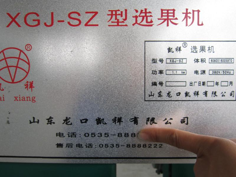 供應高產(chǎn)量酥梨蜜梨自動上果選果機/碭山梨自動分揀設備