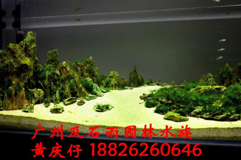 水族造景石松皮石|族造景石松皮石報(bào)價(jià)|族造景石松皮石廠家|族造景石