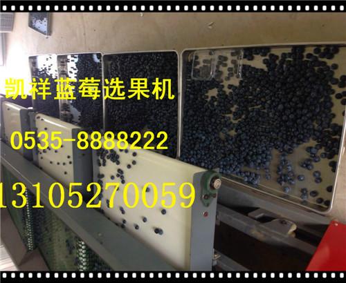 供應(yīng)山東藍(lán)莓分果機(jī)藍(lán)莓鮮果自動篩分機(jī)/分揀藍(lán)莓機(jī)械設(shè)備/藍(lán)莓選果機(jī)