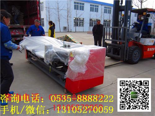 供應(yīng)*性能高自動藍莓選果機/藍莓分揀機價格/藍莓篩選機械銷售