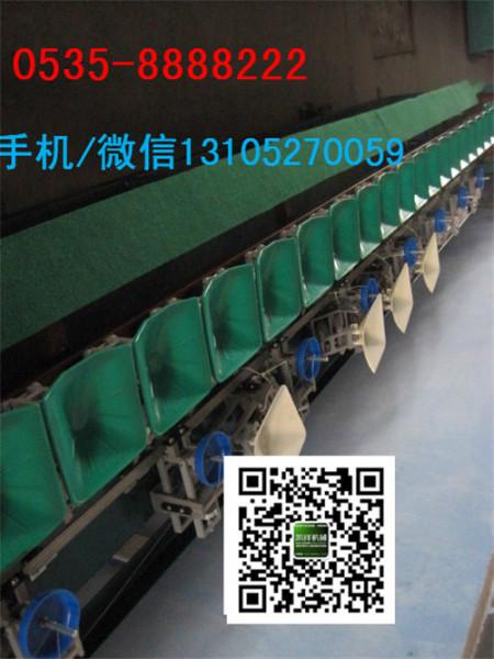 西紅柿自動(dòng)選果機(jī)番茄自動(dòng)分選機(jī)圖片