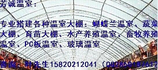 廣西養(yǎng)殖大棚圖片