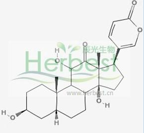 供應沙蟾蜍精464-74-4