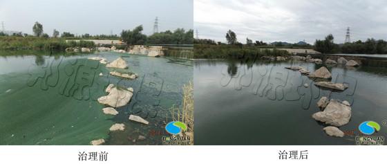 北京藍藻治理公司邦源環(huán)保值得信賴圖片