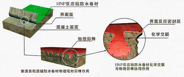 供应自粘型橡胶沥青防水卷材广东厂家最新报价图片