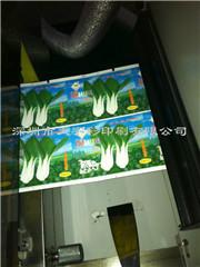供應(yīng)深圳食品標(biāo)簽橄欖油標(biāo)簽印刷直銷