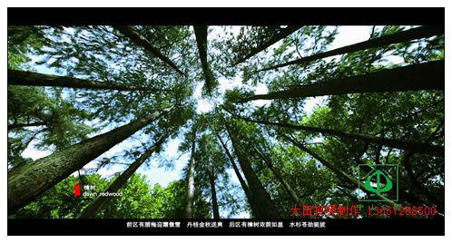 供應(yīng)中山公園宣傳片拍攝制作大田影視