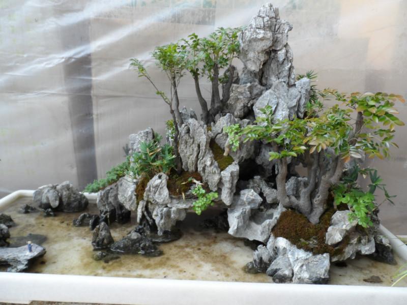 供應(yīng)上海浦東哪里的英石假山盆景*，生產(chǎn)上海浦東英石假山盆景