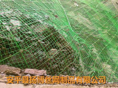 供應(yīng)破碎山體防護(hù)網(wǎng)/安平防護(hù)網(wǎng)哪家強(qiáng)