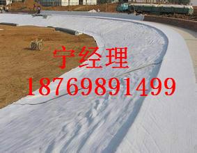 天津土工布廠家圖片