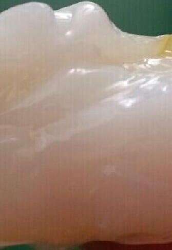 供應(yīng)優(yōu)質(zhì)-白色特種潤滑脂