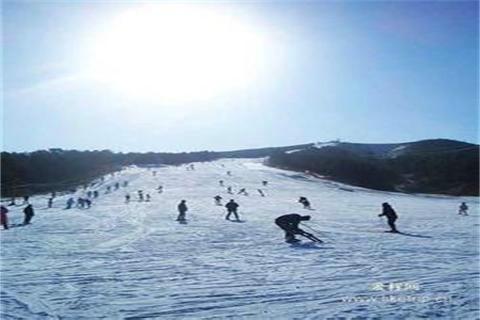 供应千山滑雪场门票团购千山滑雪一日游图片