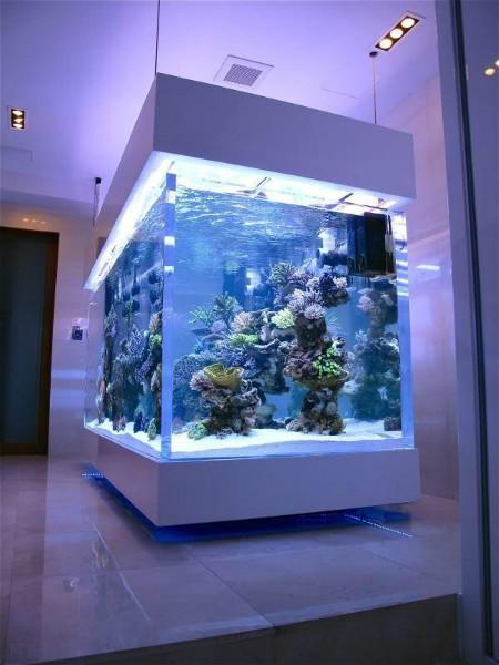 大型百貨商場圖片/大型百貨商場樣板圖 (2)