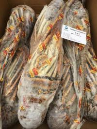 供應(yīng)古巴龍蝦