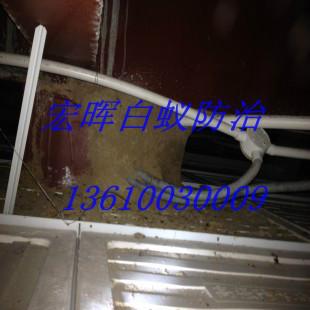 供應(yīng)興華滅白蟻*，興華街道滅白蟻企業(yè)，興華街道哪里有白蟻防治公司