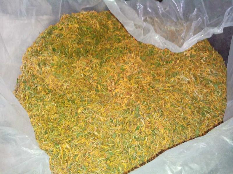 供應(yīng)金銀花葉子綠原酸應(yīng)