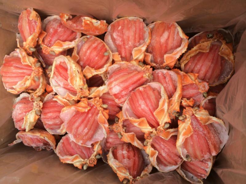 供應(yīng)進(jìn)口朝鮮雪蟹寶