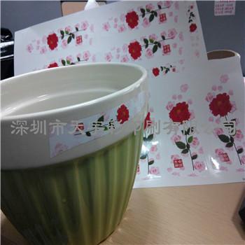 供應(yīng)深圳龍崗彩色貼紙透明可撕水貼紙