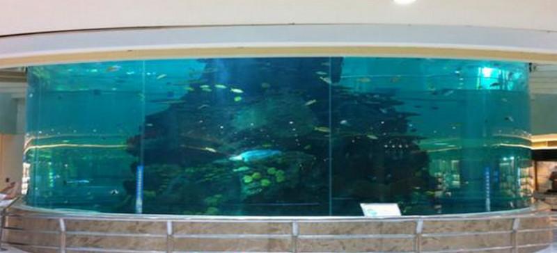 供應(yīng)橢圓形魚缸訂做橢圓形觀賞魚缸造景