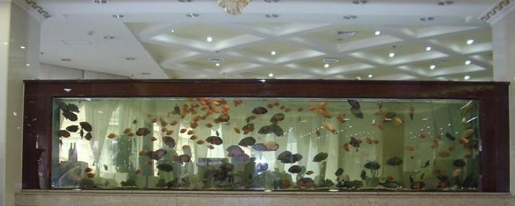 供應(yīng)賓館大堂觀賞魚缸大型亞克力魚缸廠
