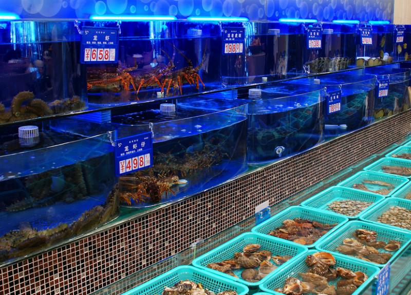 供應海鮮池訂做海鮮池設計海鮮魚池制冷