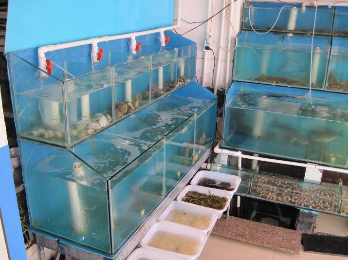 供應海鮮池訂做海鮮池設計海鮮魚池制冷