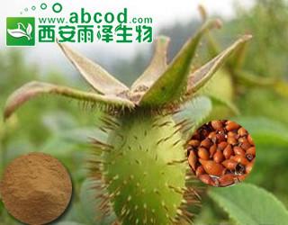 供應(yīng)金櫻子提取物生產(chǎn)廠家提取物公司