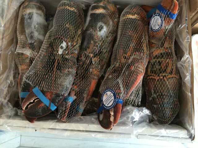 供應(yīng)生凍波士頓龍蝦