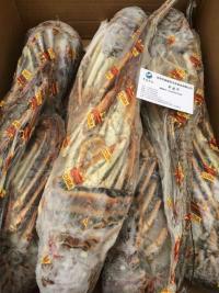 進(jìn)口古巴龍蝦圖片